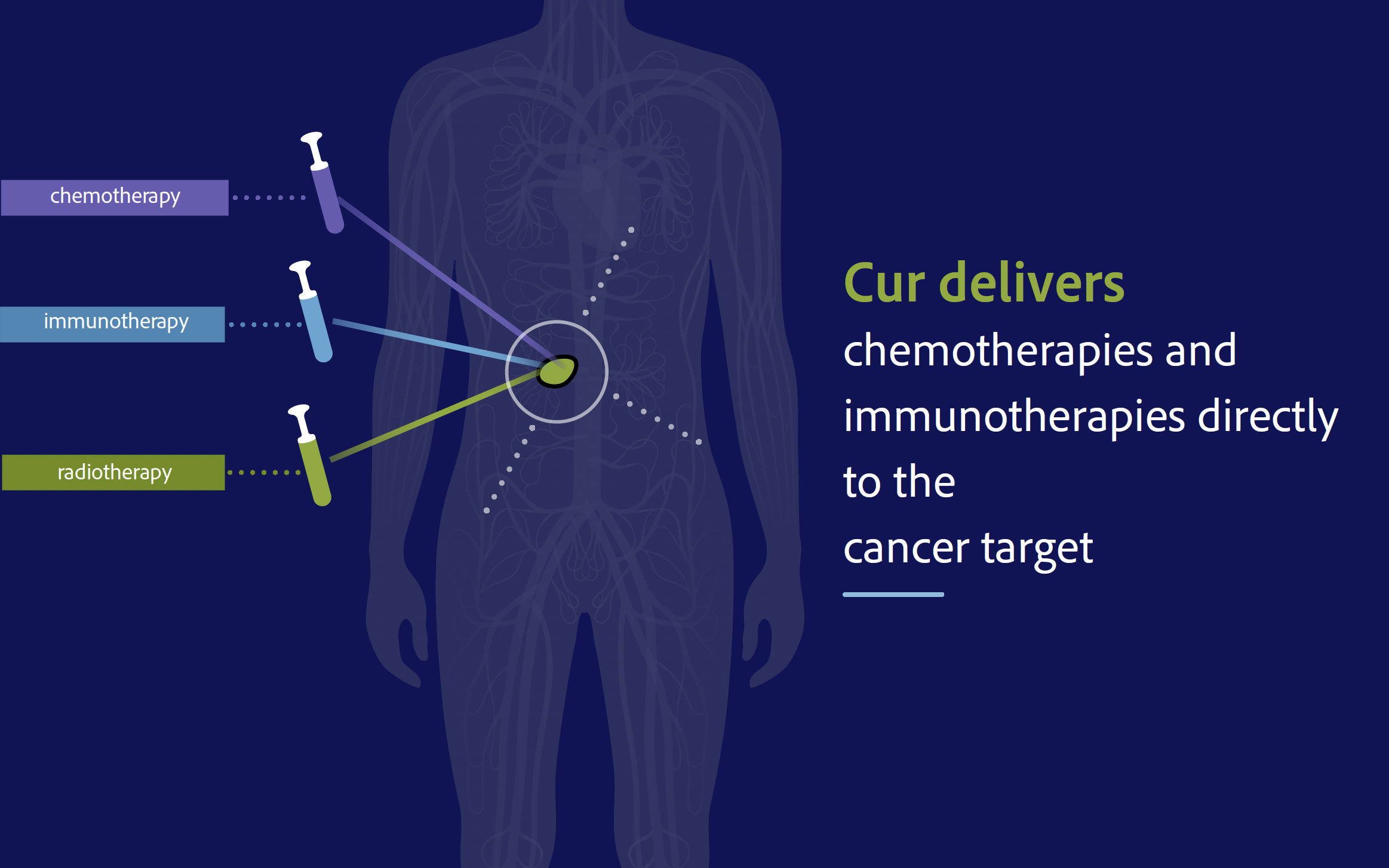 Cur Solution Overview